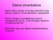 Prezentācija 'Ūdens enerģija', 7.