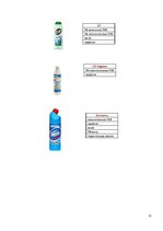 Referāts 'Бытовая химия и ее влияние на здоровье человека', 22.