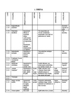 Paraugs 'Nometnes paraugs nedēļas svarīgākajām dienām', 4.
