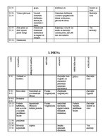 Paraugs 'Nometnes paraugs nedēļas svarīgākajām dienām', 5.
