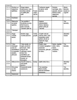 Paraugs 'Nometnes paraugs nedēļas svarīgākajām dienām', 7.