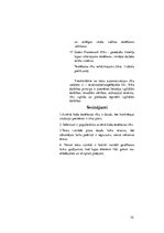 Referāts 'Programmatūras testēšanas veidi un paņēmieni', 12.