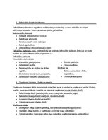 Konspekts 'Finanšu pamati', 2.