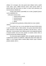 Referāts 'Graudaugi', 10.