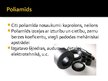 Prezentācija 'Termoplastiskie polimēri', 9.