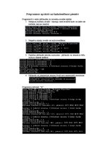 Konspekts 'Strupceļa novēršanas politikas (baņķiera algoritms)', 5.