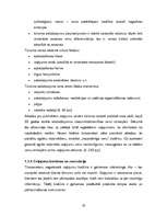 Diplomdarbs 'Latvijas tūroperatoru darbības analīze', 16.