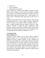 Diplomdarbs 'Latvijas tūroperatoru darbības analīze', 19.