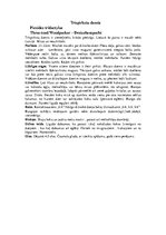 Referāts 'Dzeņi', 13.