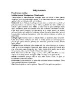 Referāts 'Dzeņi', 14.