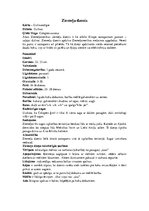 Referāts 'Dzeņi', 15.