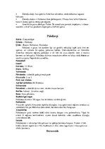 Referāts 'Dzeņi', 17.