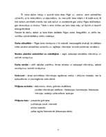 Referāts 'Koka arhitektūra Rīgā', 4.