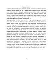 Referāts 'Koka arhitektūra Rīgā', 5.