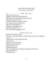 Referāts 'Koka arhitektūra Rīgā', 21.