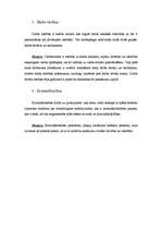 Konspekts 'Tiesības', 2.