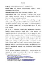 Konspekts 'Indiāņu, āfrikāņu, indiešu, ķīniešu un japāņu kultūra', 1.