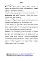 Konspekts 'Indiāņu, āfrikāņu, indiešu, ķīniešu un japāņu kultūra', 2.