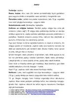 Konspekts 'Indiāņu, āfrikāņu, indiešu, ķīniešu un japāņu kultūra', 5.