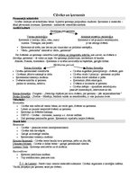 Konspekts 'Cilvēks un ķermenis no pirmatnējās sabiedrības līdz visjaunākajiem laikiem', 1.