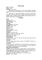 Konspekts 'Pūču dzimta', 6.