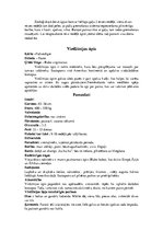 Konspekts 'Pūču dzimta', 13.