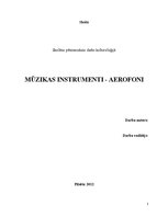 Referāts 'Mūzikas instrumenti - aerofoni', 1.