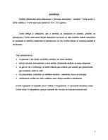 Referāts 'Mūzikas instrumenti - aerofoni', 2.