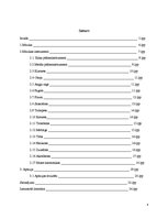 Referāts 'Mūzikas instrumenti - aerofoni', 4.