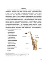 Referāts 'Mūzikas instrumenti - aerofoni', 13.