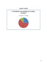 Referāts 'Mūzikas instrumenti - aerofoni', 20.