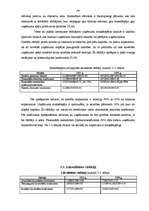 Referāts 'Konkurence un tās ietekme uz SIA "Saule" attīstību ', 19.