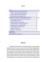 Referāts 'Brīvdabas koncerta projekta izstrāde vietējā pašvaldībā', 4.