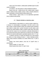 Referāts 'Brīvdabas koncerta projekta izstrāde vietējā pašvaldībā', 22.