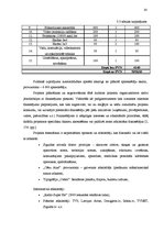 Referāts 'Brīvdabas koncerta projekta izstrāde vietējā pašvaldībā', 30.