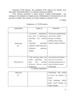 Prakses atskaite 'Prakses atskaite', 12.