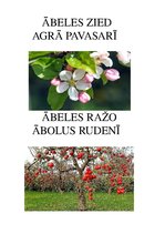 Prezentācija 'Ābele', 1.