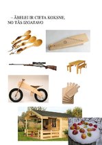 Prezentācija 'Ābele', 4.