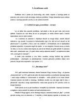 Referāts 'Depresija pusaudžu vecumā', 8.