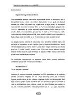 Referāts 'Interneta kā masu medija ietekme uz sabiedriskajiem procesiem Latvijā', 14.