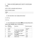 Konspekts 'Lielumi - laiks, masa', 10.