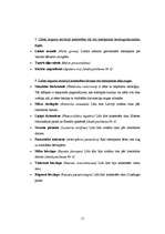 Referāts 'Dabas liegums "Tebras ozolu meži"', 11.