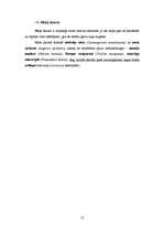 Referāts 'Dabas liegums "Tebras ozolu meži"', 12.