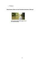 Referāts 'Dabas liegums "Tebras ozolu meži"', 16.