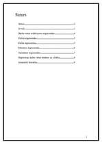 Referāts 'Ergonomika darbā ar datoru', 1.