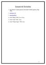 Referāts 'Ergonomika darbā ar datoru', 8.