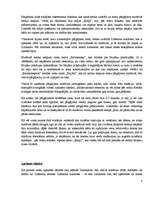 Referāts 'Pārgājiena maršruts Bērzaine - Valmiera', 4.