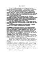 Referāts 'Cittautiešu virtuves (Ķīna, Kongo, Ēģipte)', 1.