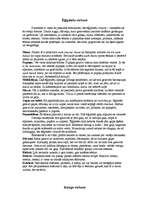 Referāts 'Cittautiešu virtuves (Ķīna, Kongo, Ēģipte)', 3.