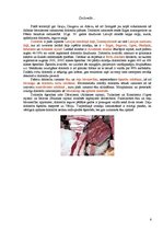 Referāts 'Derīgie izrakteņi dažādos Latvijas novados', 6.